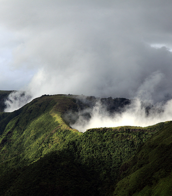 meghalaya travel agents